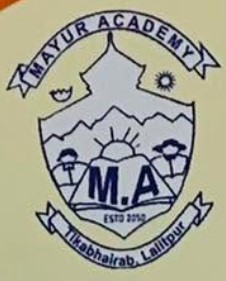 Mayur  Academy